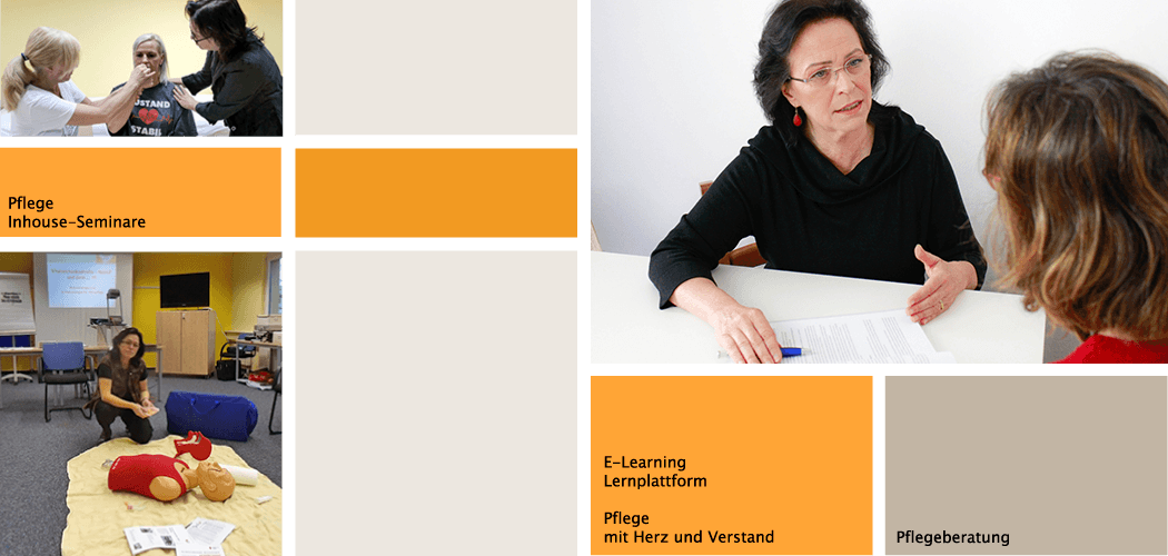 Pflegeseminare Raphaela Horvath Schema