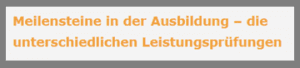 Praxisanleitung Leistungsprüfung